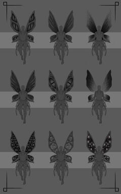 Wing Pattern Exploration