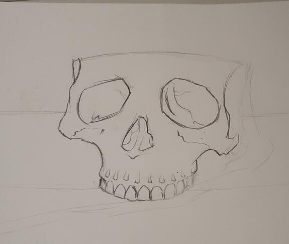 Skull Drawing