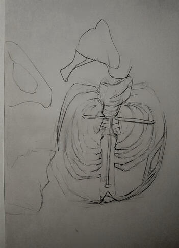 Ribcage Observation 2